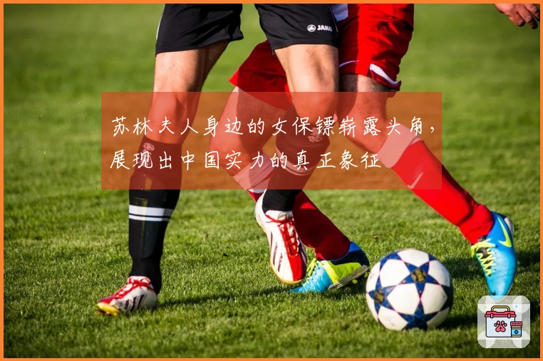 苏林夫人身边的女保镖崭露头角，展现出中国实力的真正象征