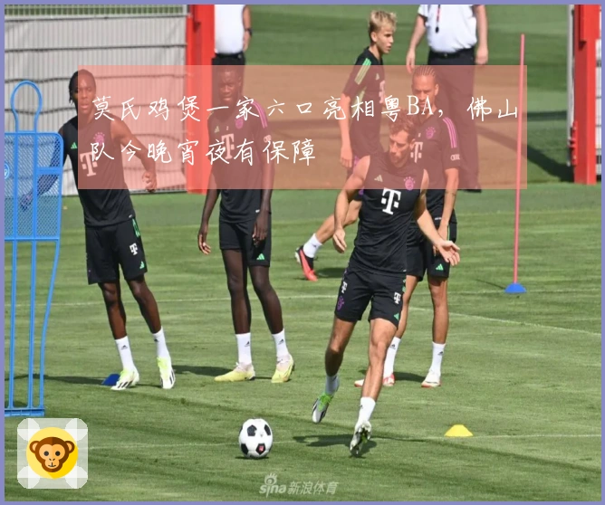 莫氏鸡煲一家六口亮相粤BA，佛山队今晚宵夜有保障